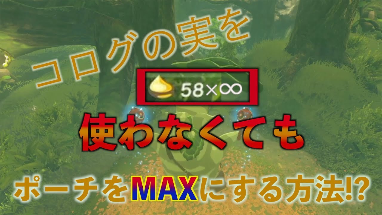 久しぶりにゼルダしたらポーチが無限に増えるのだがWWW