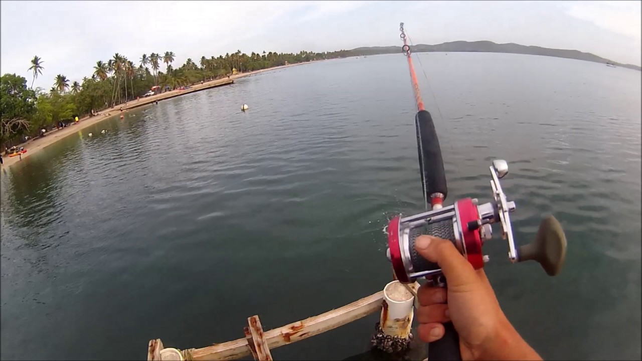 Dock fishing Tarpon