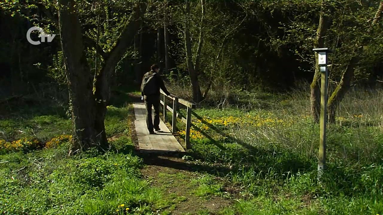 Urlaub dahoam: Wandern im Klingenbachtal