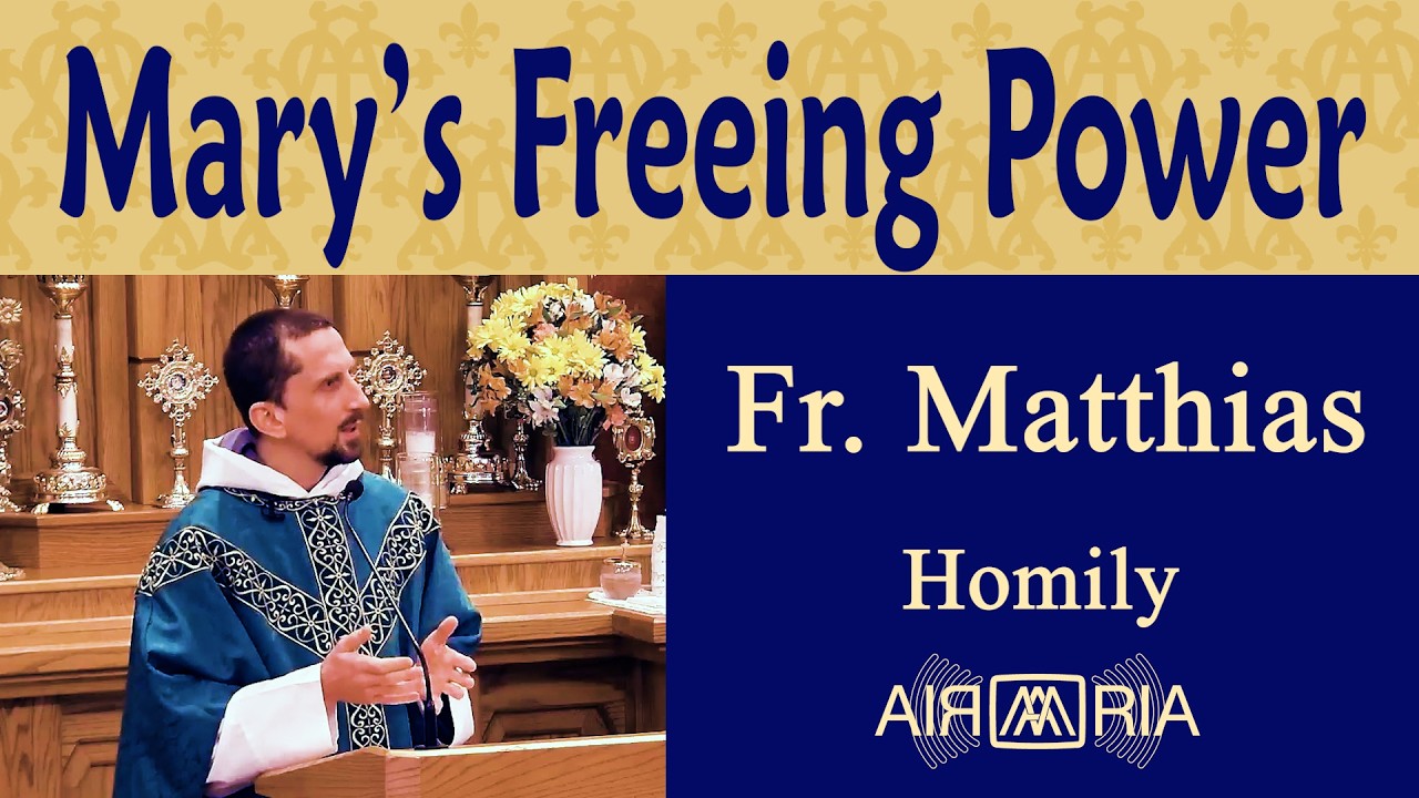 Marian Consecration, so Our Yes Means Yes - Feb 15 - Homily - Fr Matthias