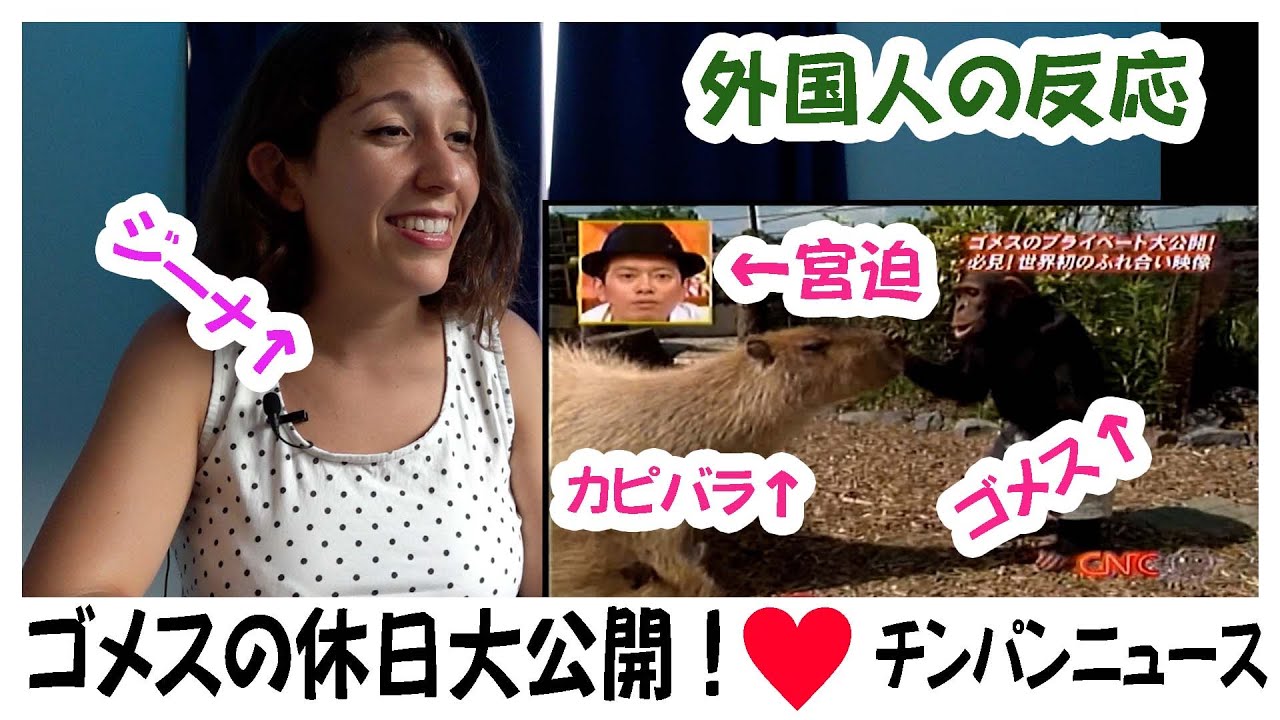 【外国人の反応】チンパンニュースのスペシャル最高！&hearts;　宮迫博之出演！そしてゴメスは兄貴！