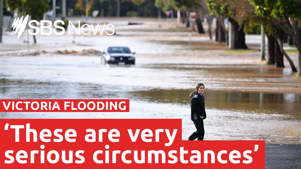 Towns without power as Victoria clean-up continues | SBS News