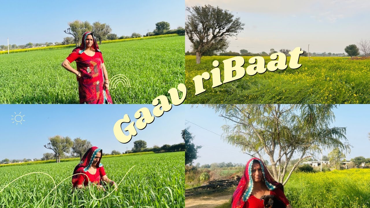 एक सवाल… और पूरा माहौल बदल गया | Village Comedy 😂🔥