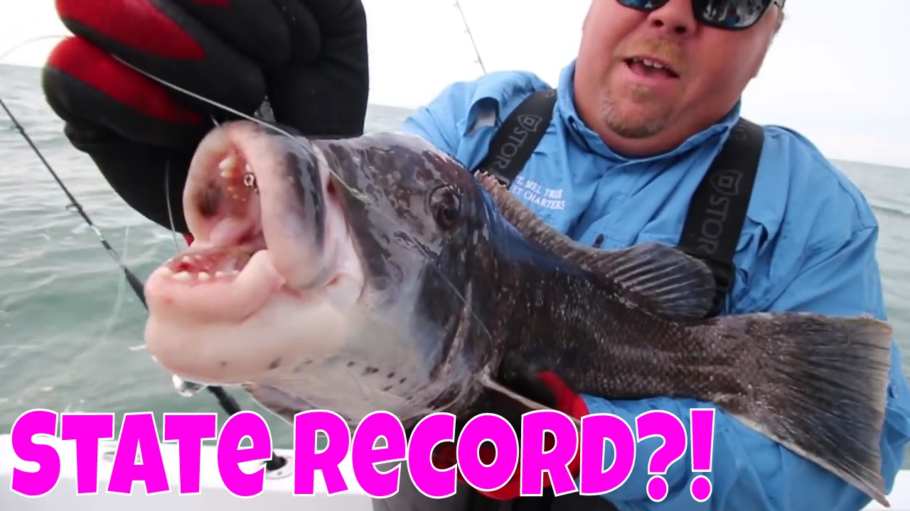 Catching Blackfish (Tautog) | Fishing for TOGZILLA!