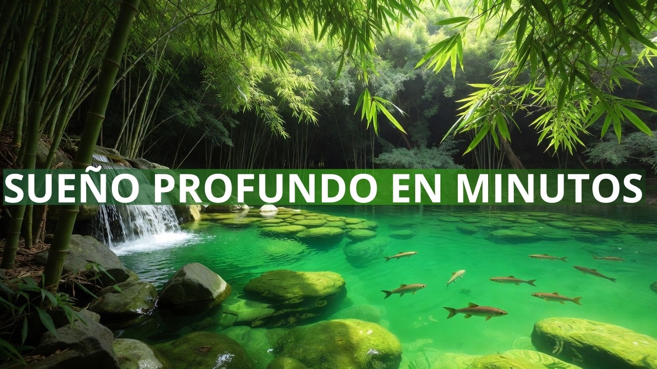 Sueño Profundo en Minutos 🌙 Música Suave para Dormir y Relajarse
