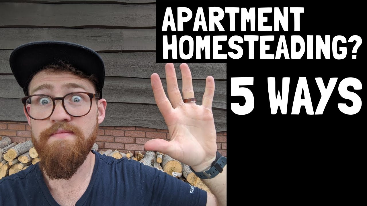 How to homestead in an APARTMENT OR TOWNHOME [5 things to start doing today!]
