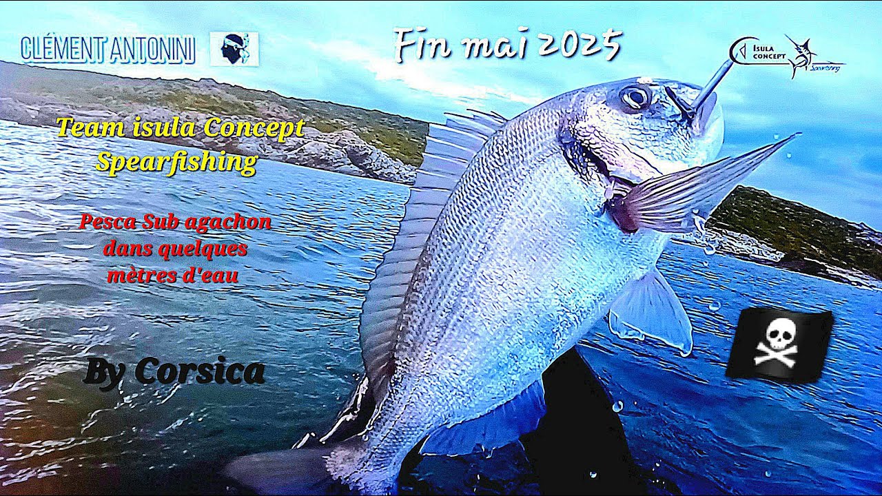 SPEARFISHING aventure dans les quatre coins de la Corse @clementantoniniteamIsula By Corsica