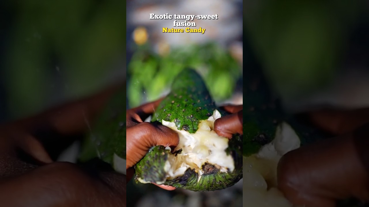 Imagine how you would feel after 5 days if eating plant-based in the jungle!
