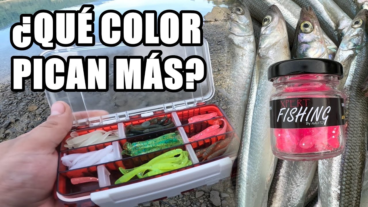 Testeo de COLORES sobre CARDUMEN DE PEJERREYES