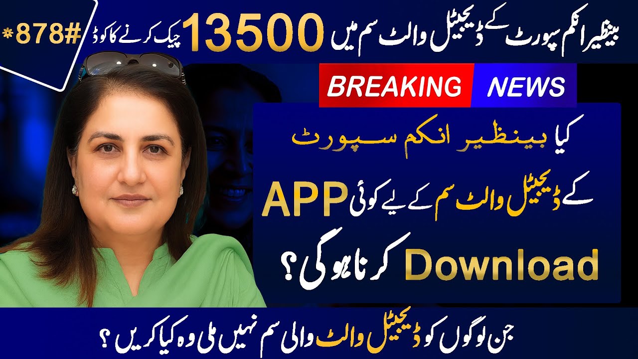 Digital Wallet SIM ki Payment Check Karne ka Code | Breaking News