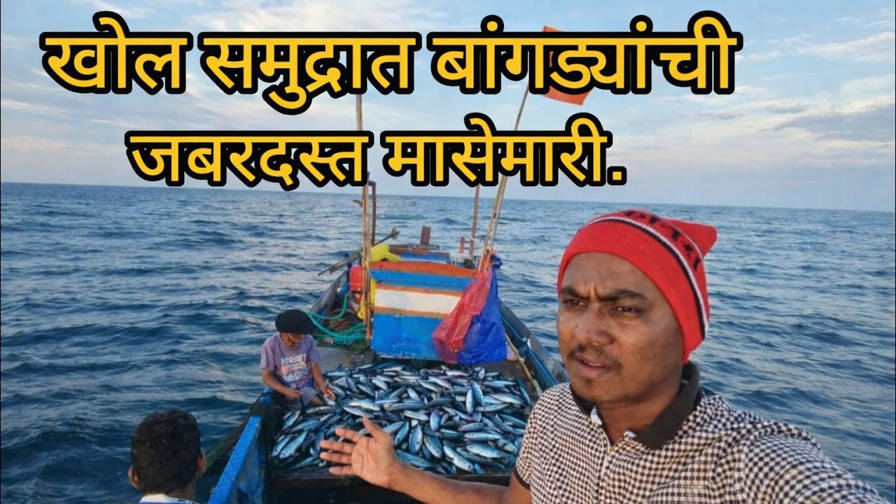 खोल समुद्रात बांगड्यांची जबरदस्त मासेमारी | मालवणमधील माशांचा लिलाव