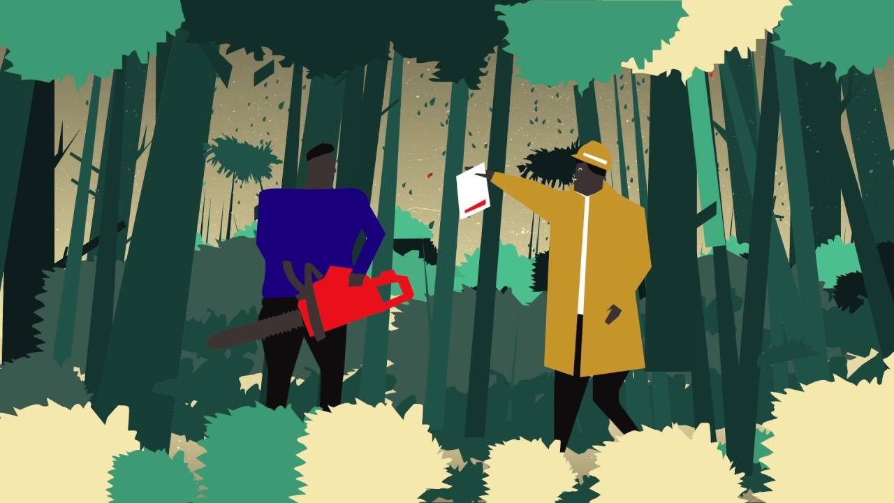 What is Forest Governance?
