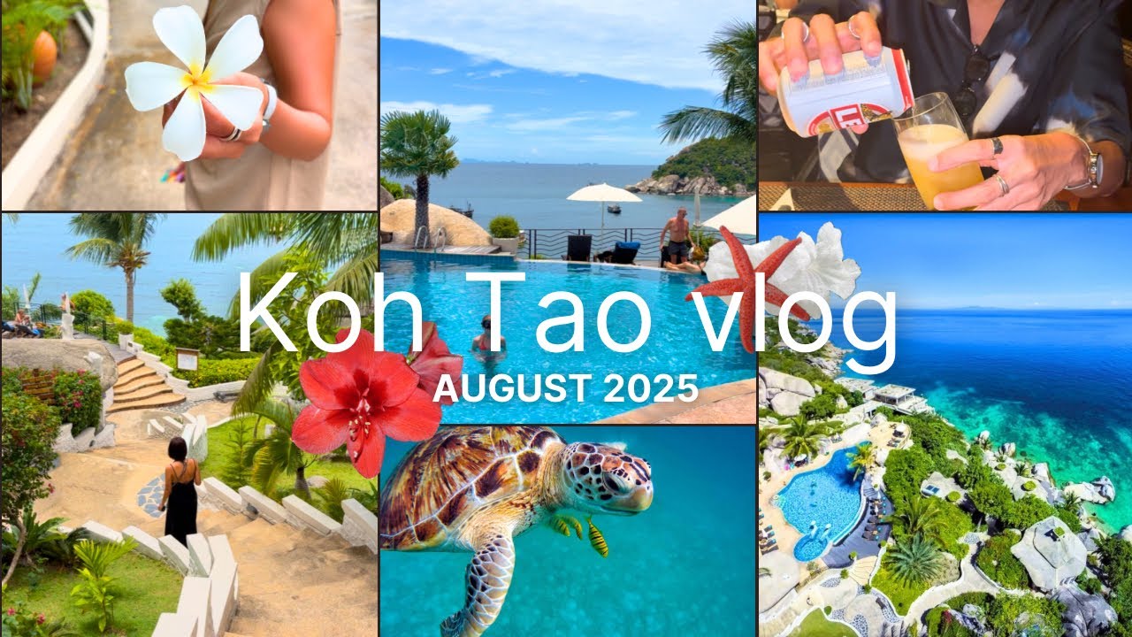 【タオ島】これぞ楽園…大絶景の1番人気リゾート🍸🌈巨大亀にも遭遇して大興奮🐢 | ジャマキリリゾート&スパ,タイ,koh tao,jamahkiri resort&spa,thailand,vlog