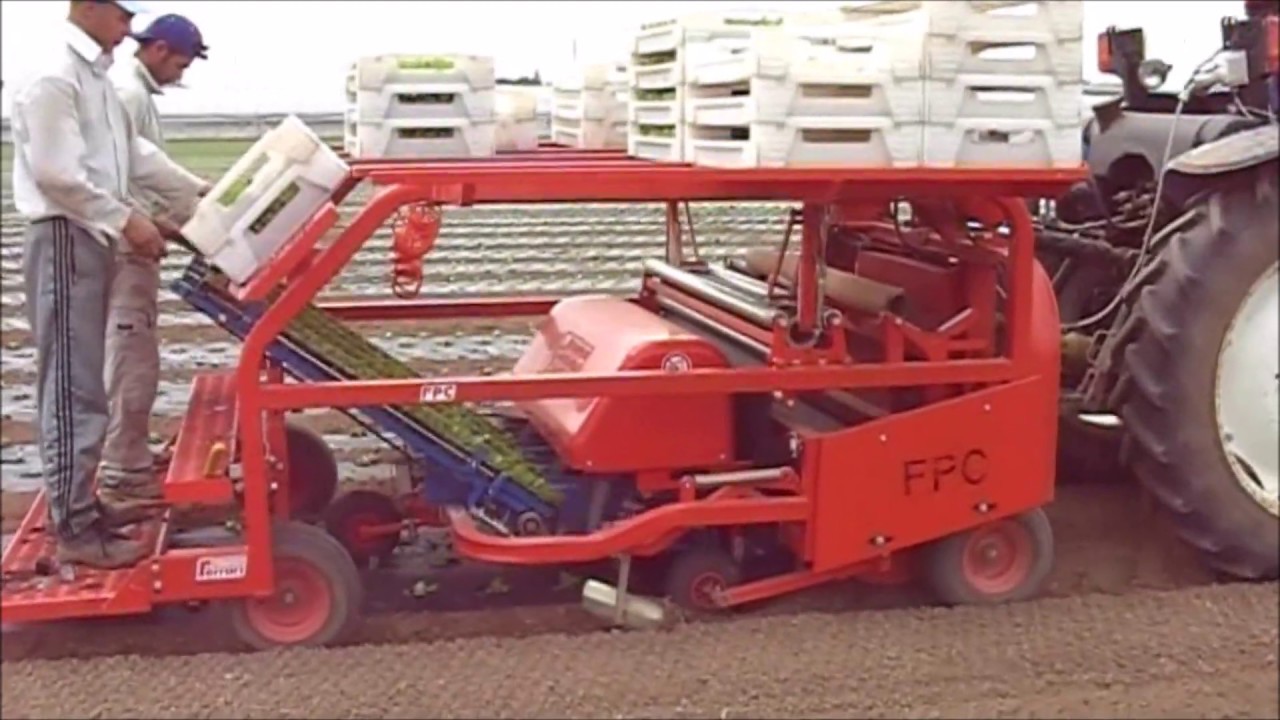Ferrari FPC - Plastic Mulch Transplanter