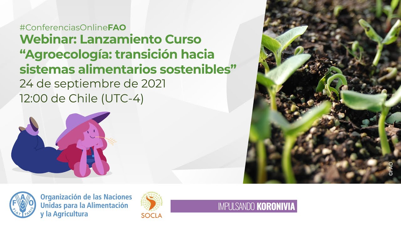 Curso Agroecología: transición hacia sistemas alimentarios sostenibles