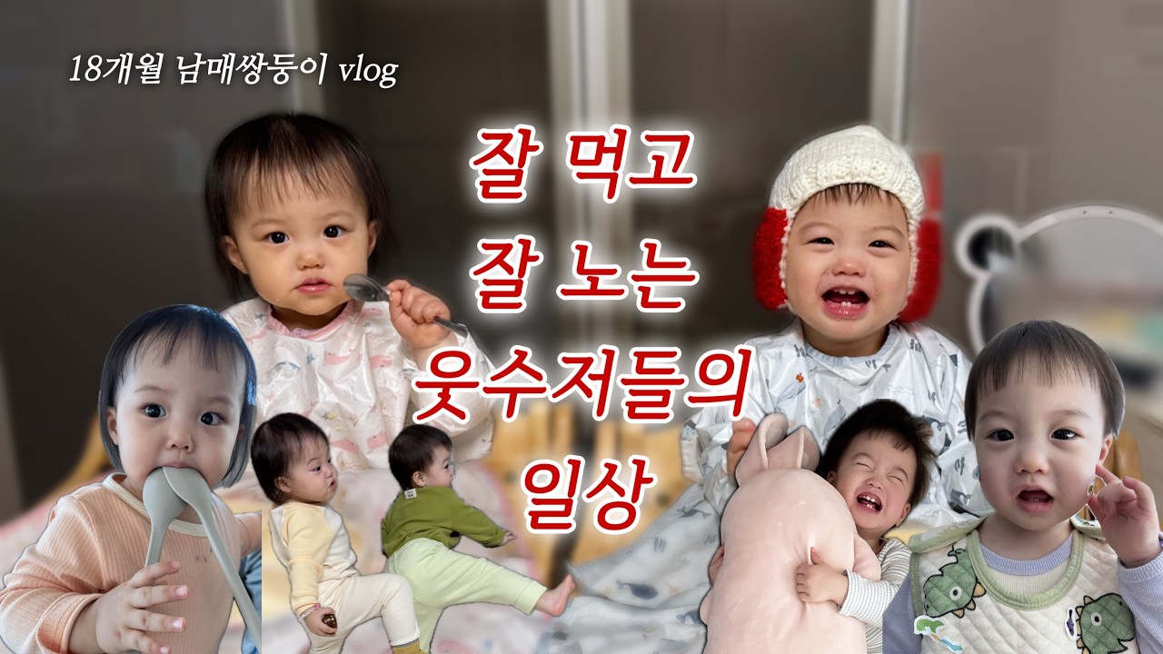 [남매쌍둥이 vlog] 매일 배꼽잡는 뚜뚜네❤️