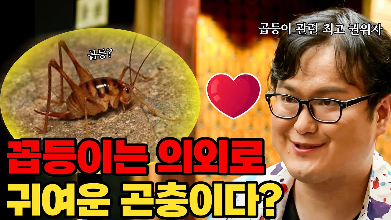 갈로아가 사랑하는 기괴하고 귀여운 벌레? [과장창 클래식]