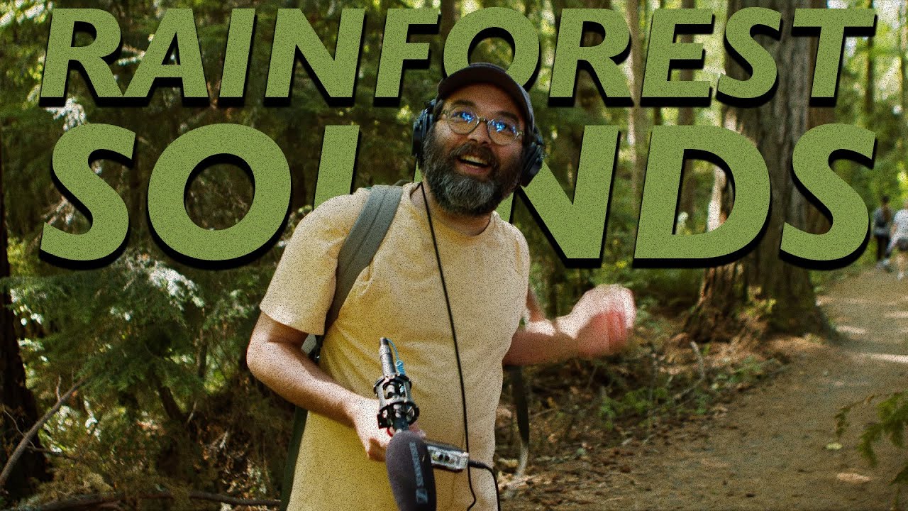 Capturing Sounds in a Temperate Rain Forest | Patterning 3 : Drum Machine