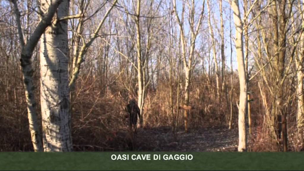 Piccoli Viaggi: l'oasi Cave di Gaggio