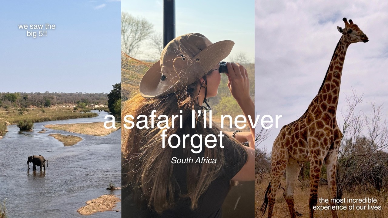 My first safari in south africa!!🦒 BEST EXPERIENCE OF MY LIFE🐘