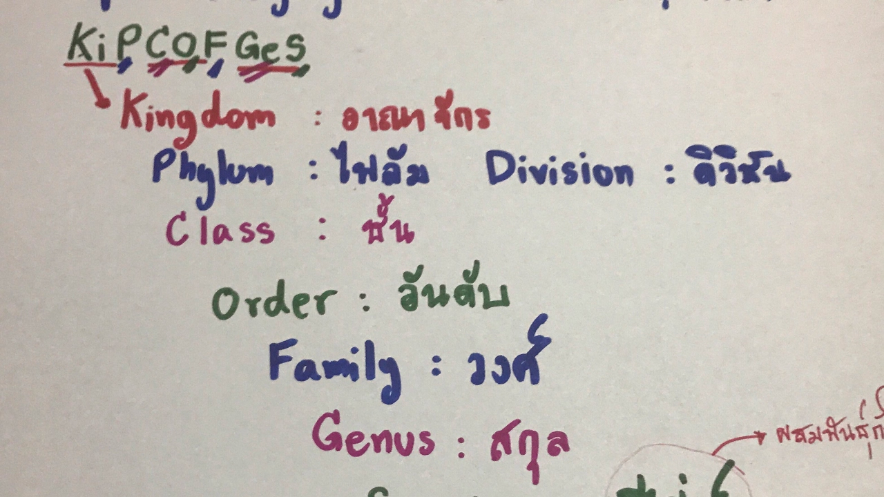 เทคนิคการจำลำดับ Taxonomy อย่างรวดเร็ว