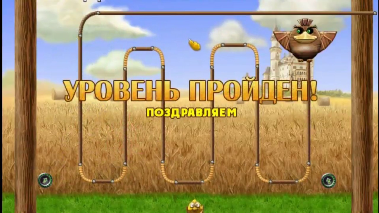 Птички на проводе HD!!!
