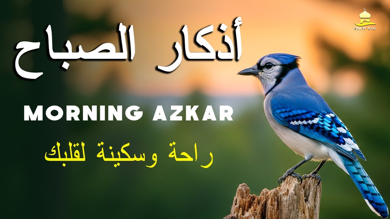 أذكار الصباح - تلاوة للسلام والحماية والبركة في الرزق القارئ علاء عقل Morning Azkar By Alaa Aqel
