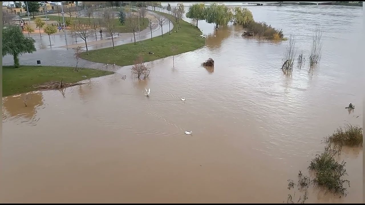 Río Guadiana desbordado en Badajoz 2022#riadaBadajoz #Badajoz