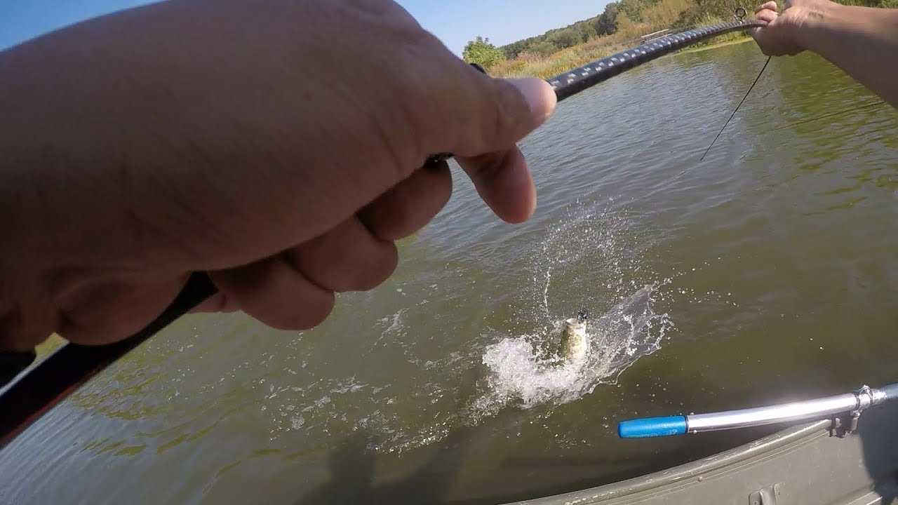 Busse Lake has Big Bass