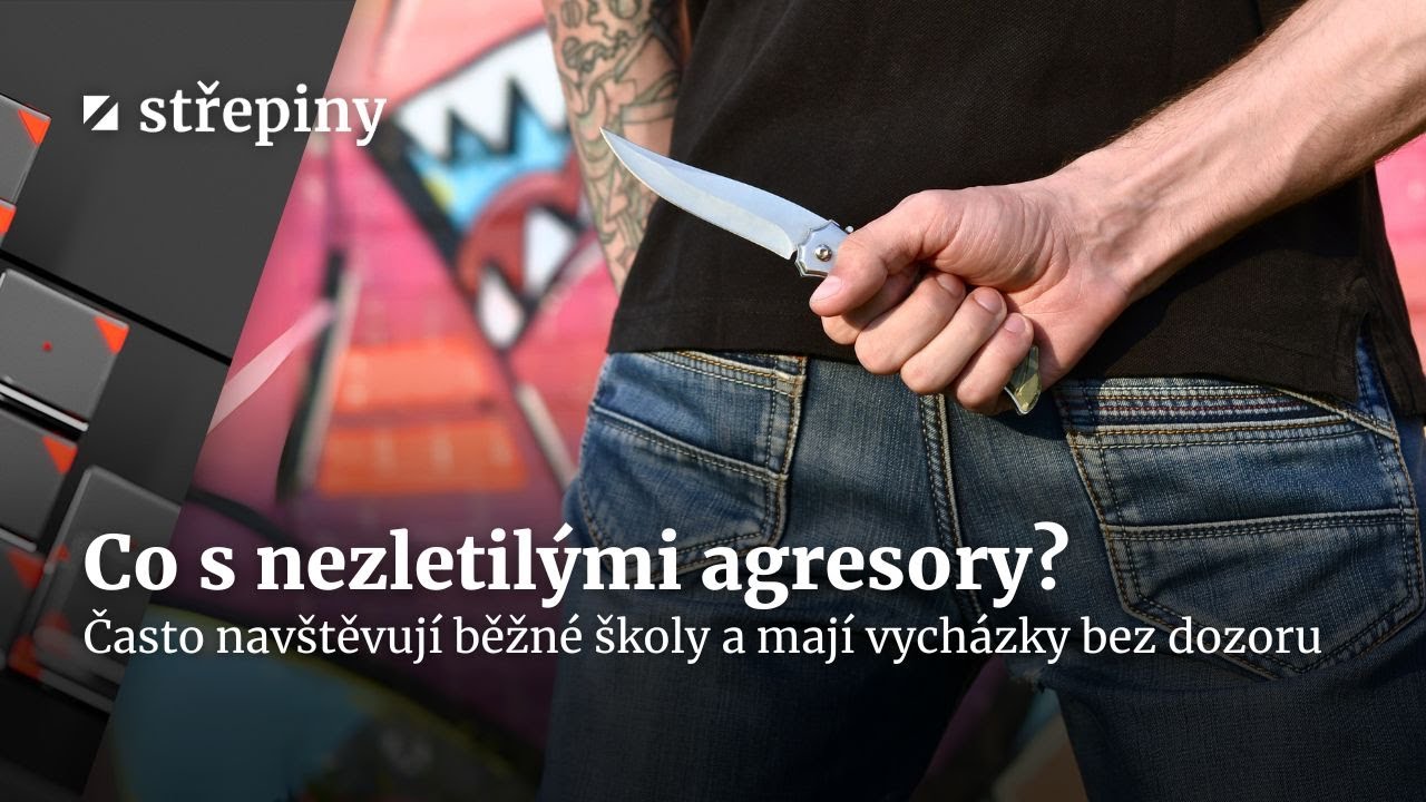Nezletilí agresoři mezi námi. Umí s nimi stát pracovat? | Střepiny