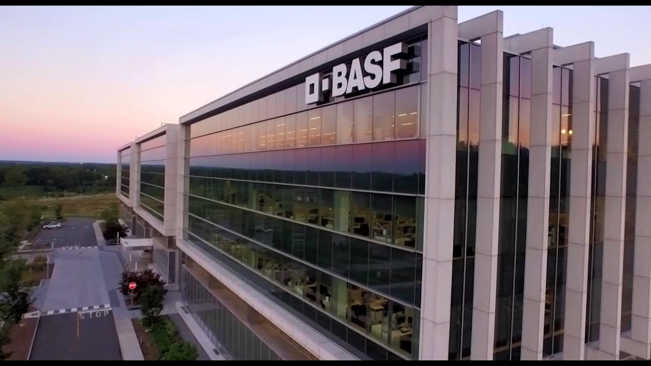 Your BASF Journey