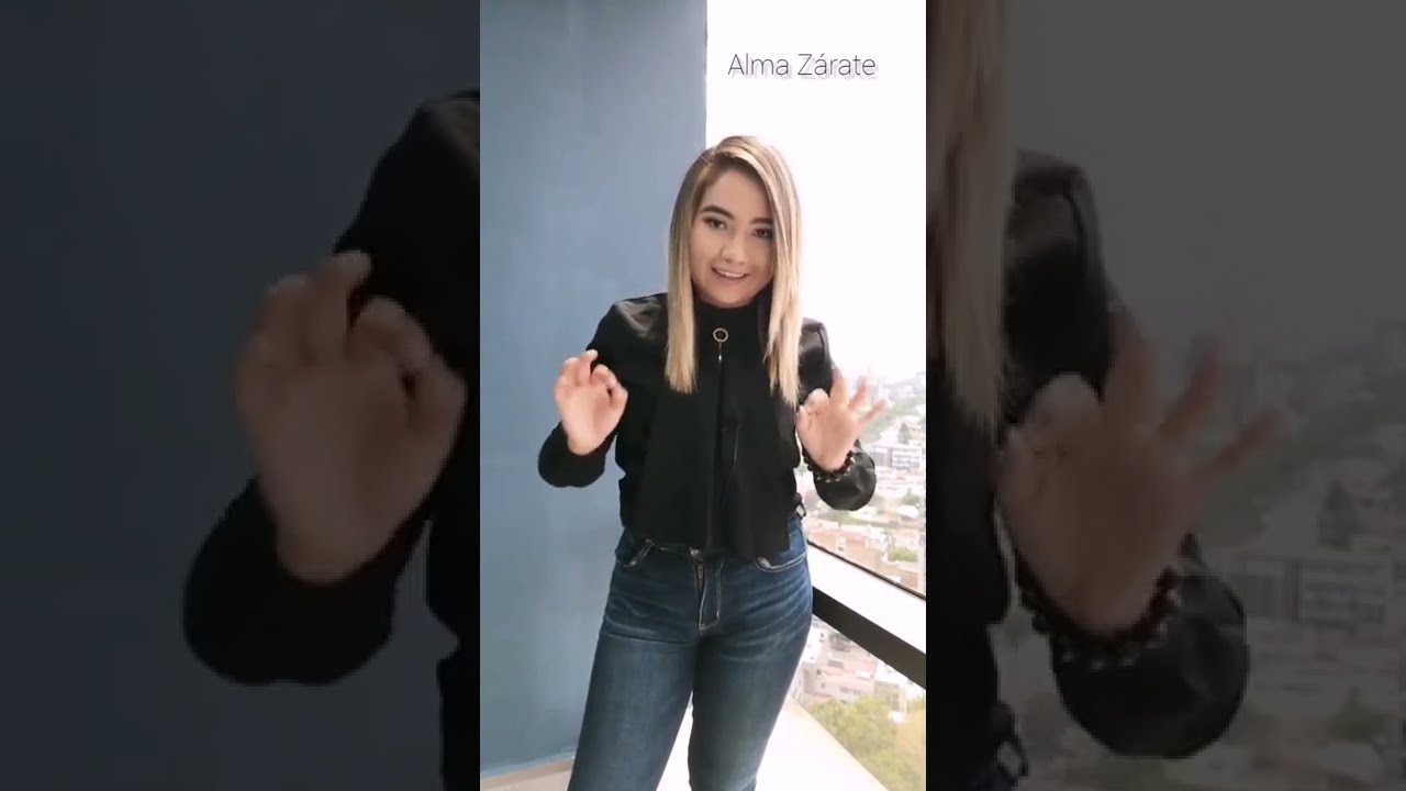 DIFERENCIAS ENTRE ACOSO Y HOSTIGAMIENTO -Alma Z&aacute;rate