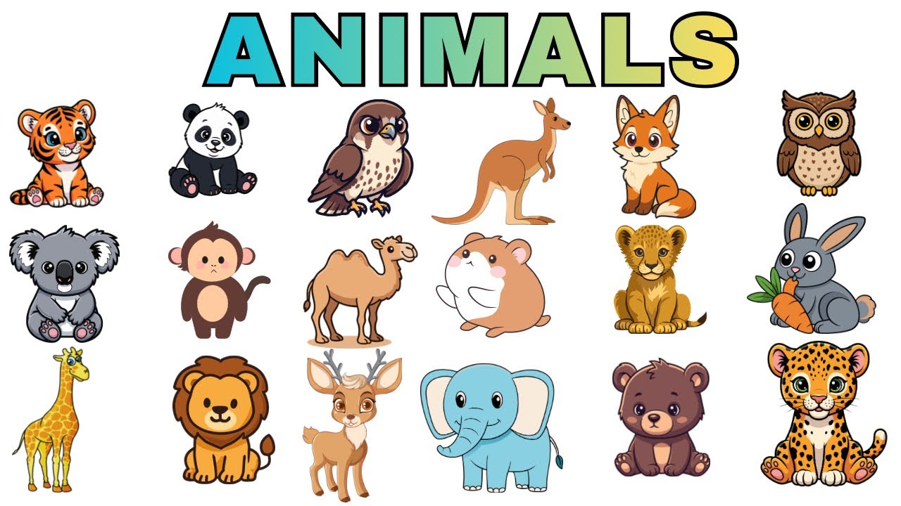 20 Animals Names for Kids | Animals Names for baby
