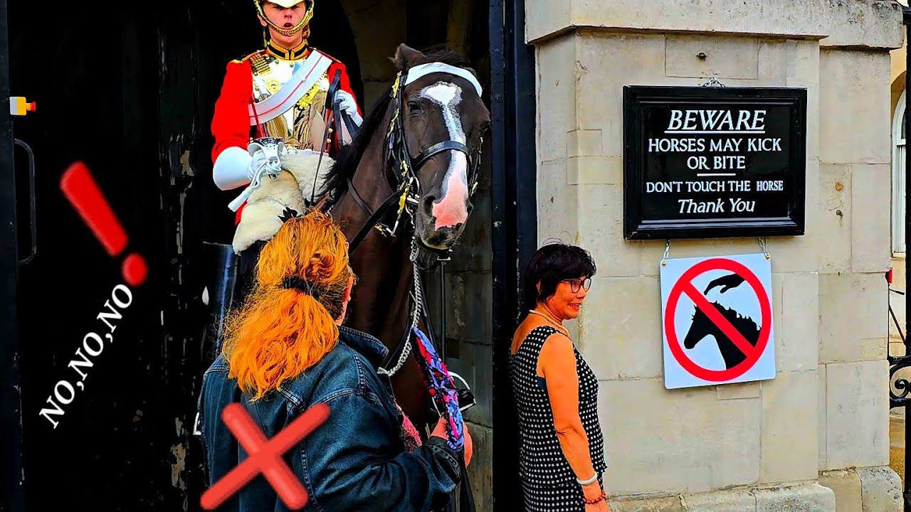 Tourists & King's Guard Reacted When a Woman Did This at Horse Guards in London