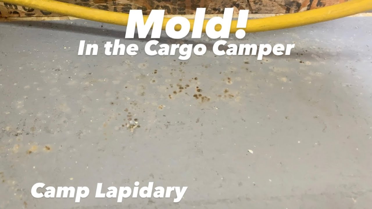 Mold in the Cargo Camper!