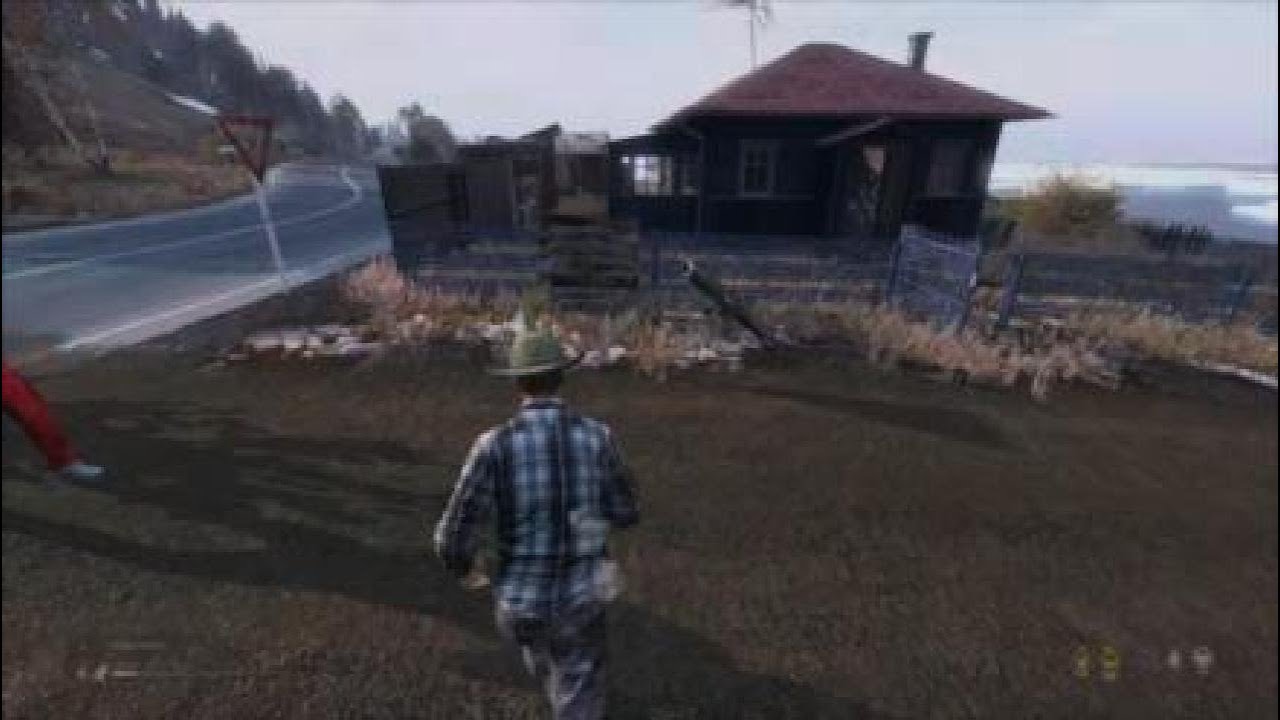 THIS IS WHY I LOVE... DAYZ