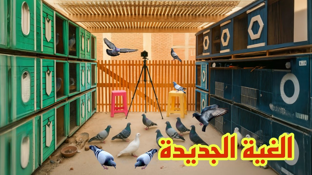 عملت غية حمام جديدة فوق الاوضه😍 تعالي اتفرج❤