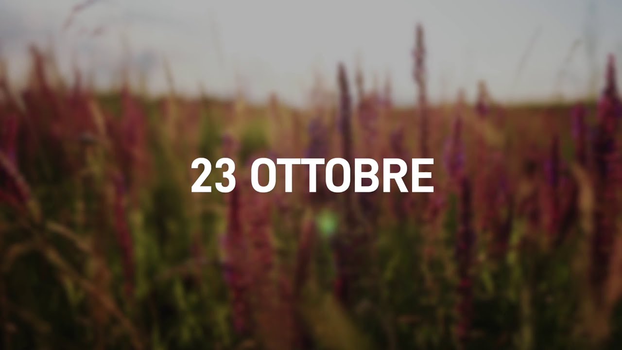 23 Ottobre 2025 | Meditazione Parole di Vita