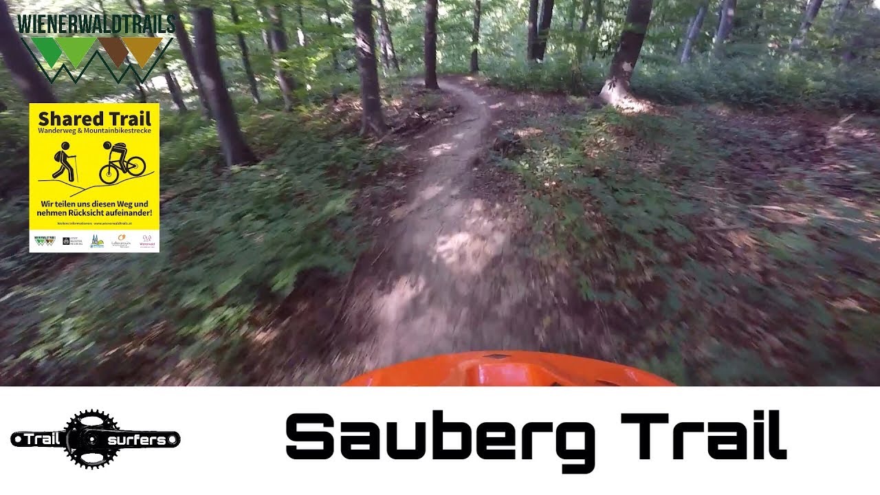 Sauberg Trail || Wienerwald Trails POV || Shared Trail || Trailsurfers