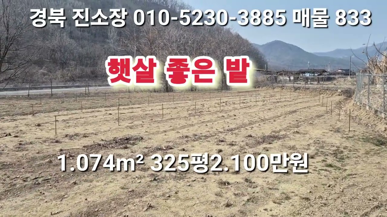 매물 833 # 진소장 부동산 #의성부동산 #군위부동산 #안동부동산 #의성 땅 매매 #군위 땅 매매 #과수원 매매 #촌집 매매 #임야 매매 