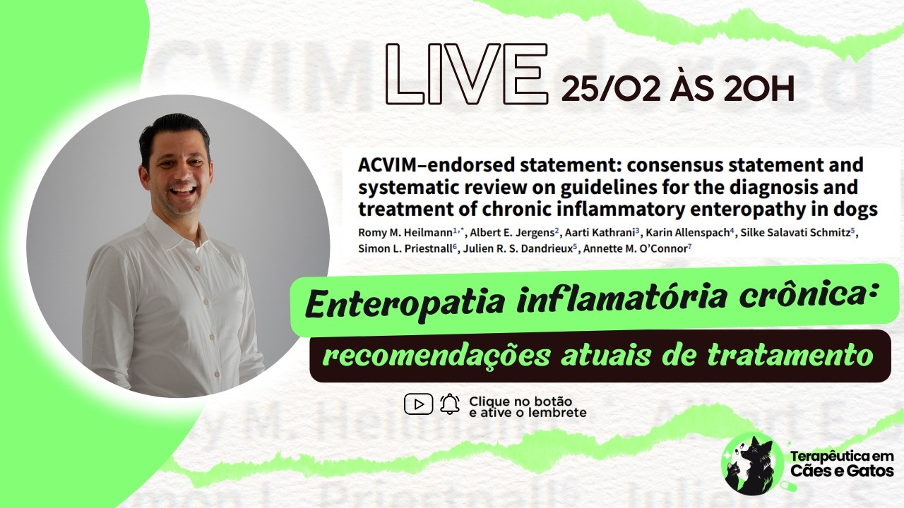 Guideline enteropatias em cães: recomendações atuais de tratamento
