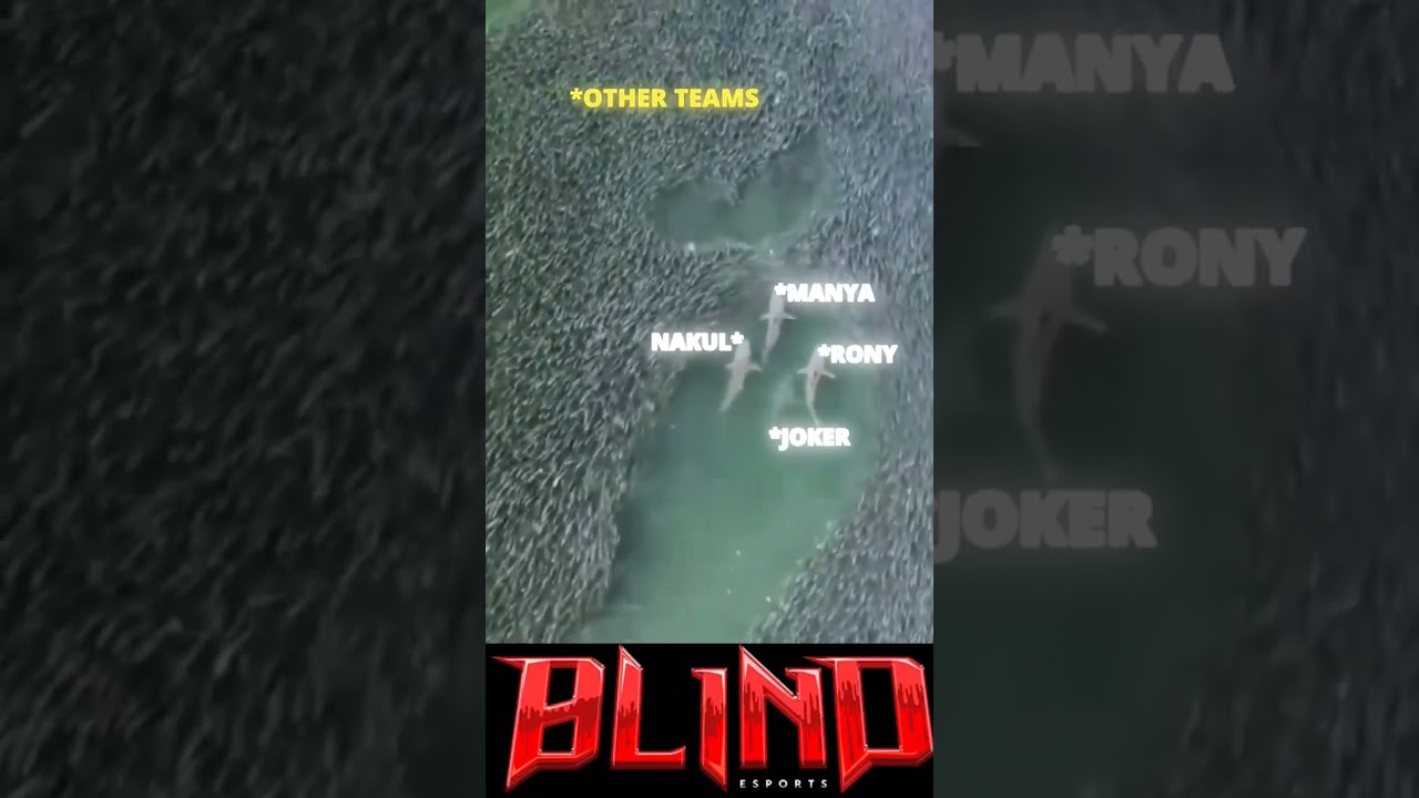 BLIND🔥 