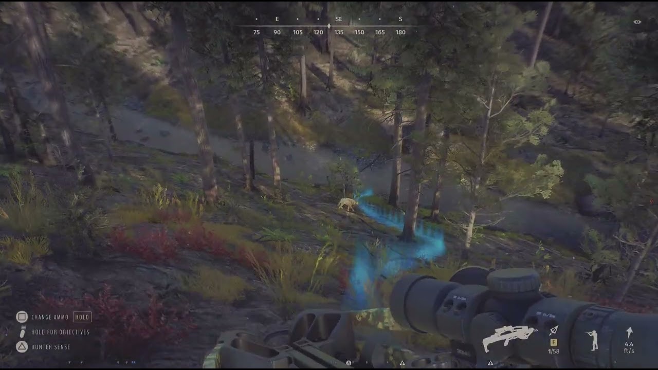 Way of the Hunter 5 Star Gray Wolf 🐺😁😇🎯🏹 Nez Perce Diamond Drill
