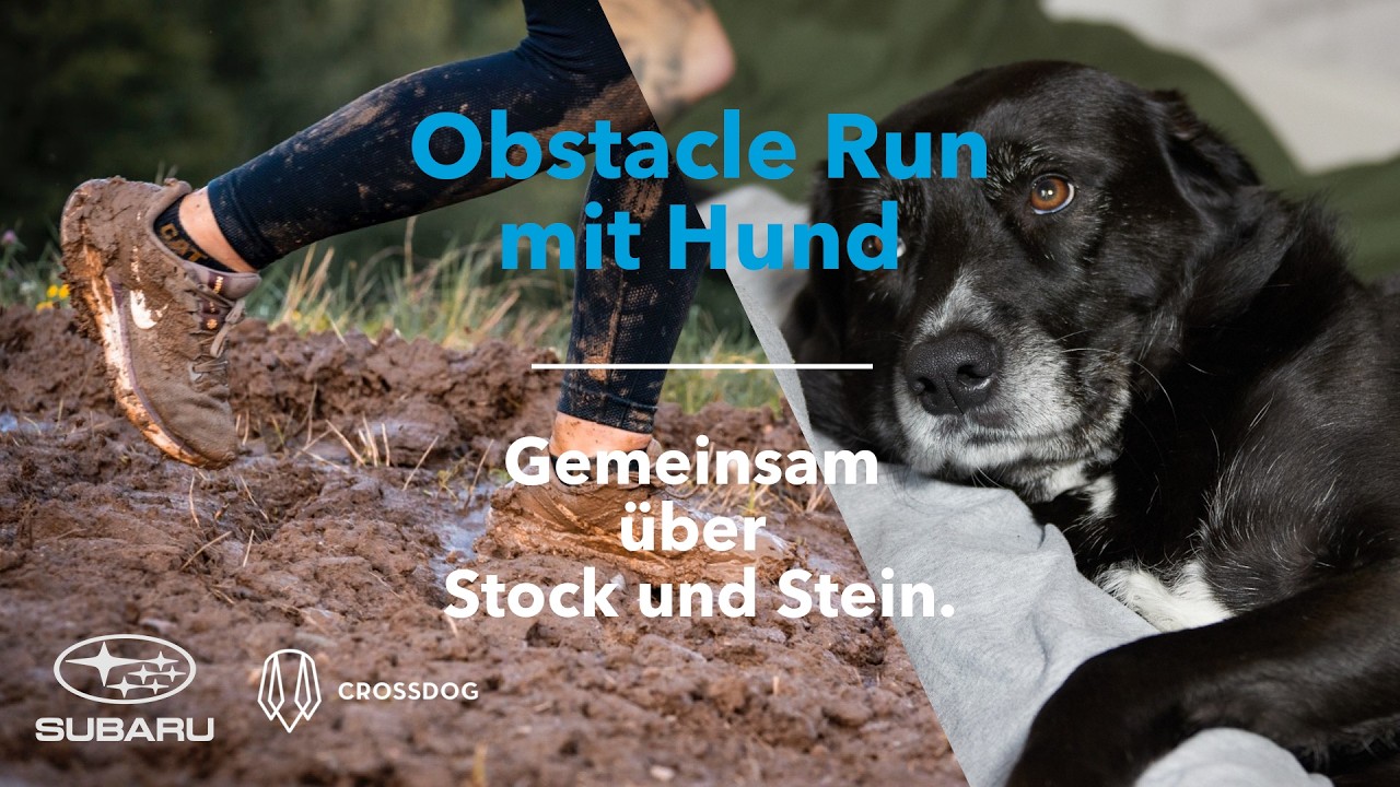 Hund und Mensch im Härtetest! | Das ist CROSSDOG