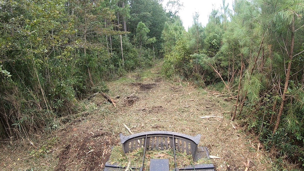 MAKE WAY! MTL XCT Cutting A Road Through An Old Logging Tract