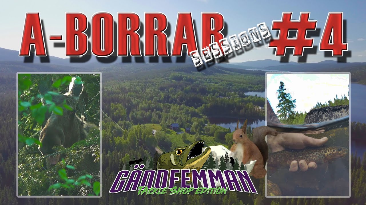 A-borrar Sessions #4