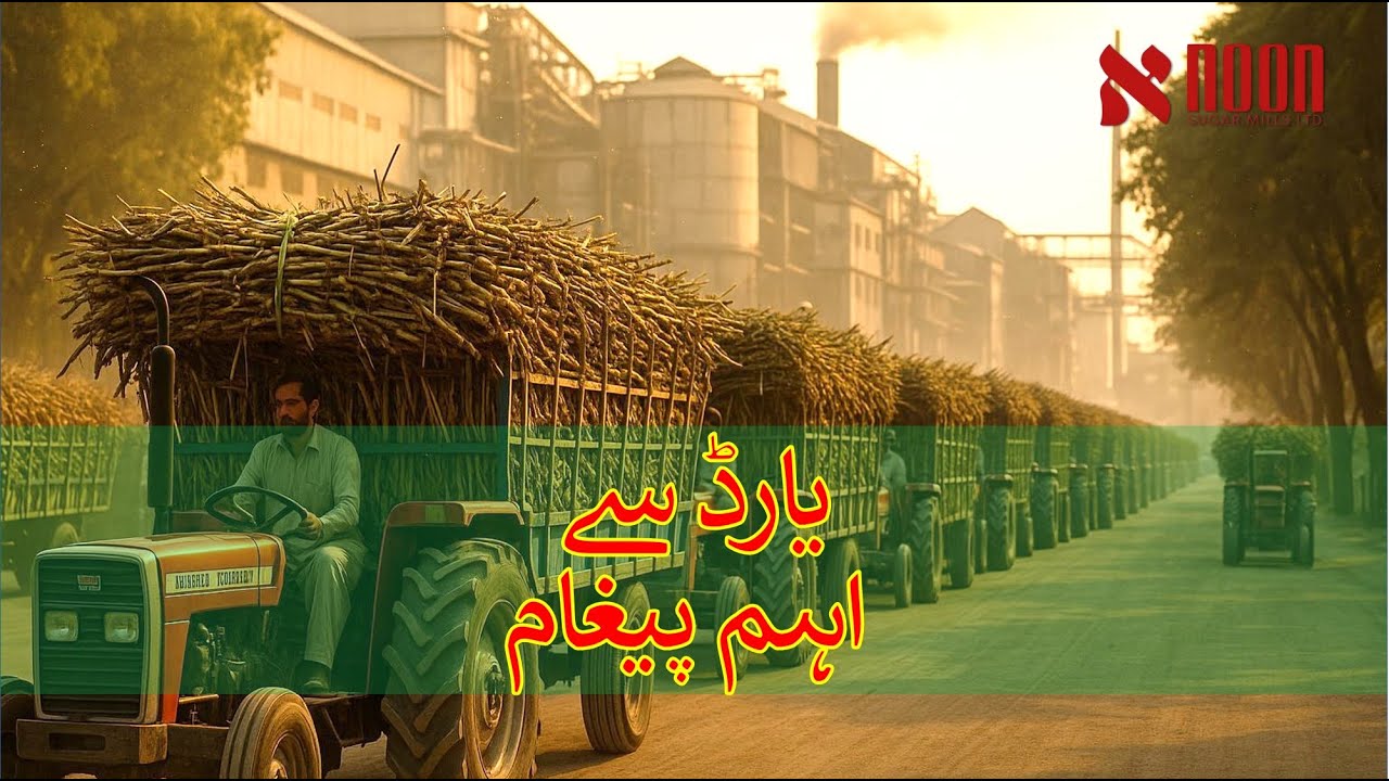 یارڈ سے اہم پیغام | نون شوگر ملز سیزن  کا شاندار افتتاح | صاف ستھرے گنے کی آمدی
