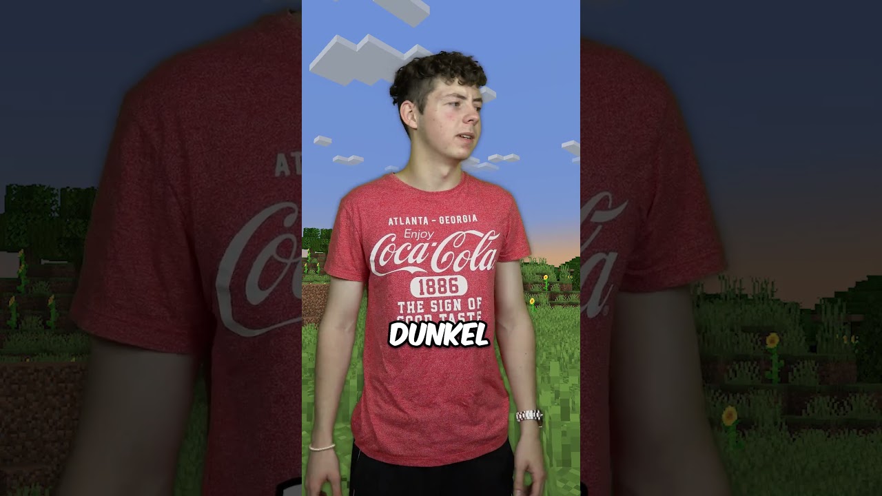 Wenn man das ERSTE MAL MINECRAFT spielt!