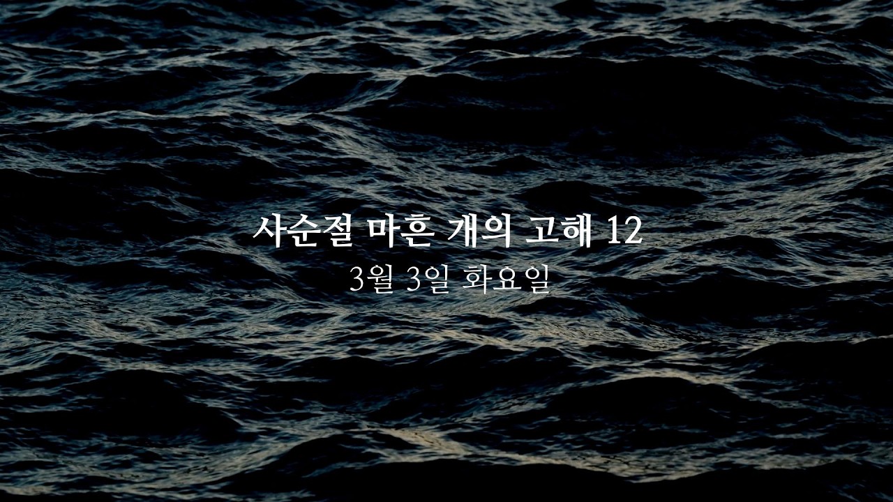 사순절 마흔 개의 고해 · 12
