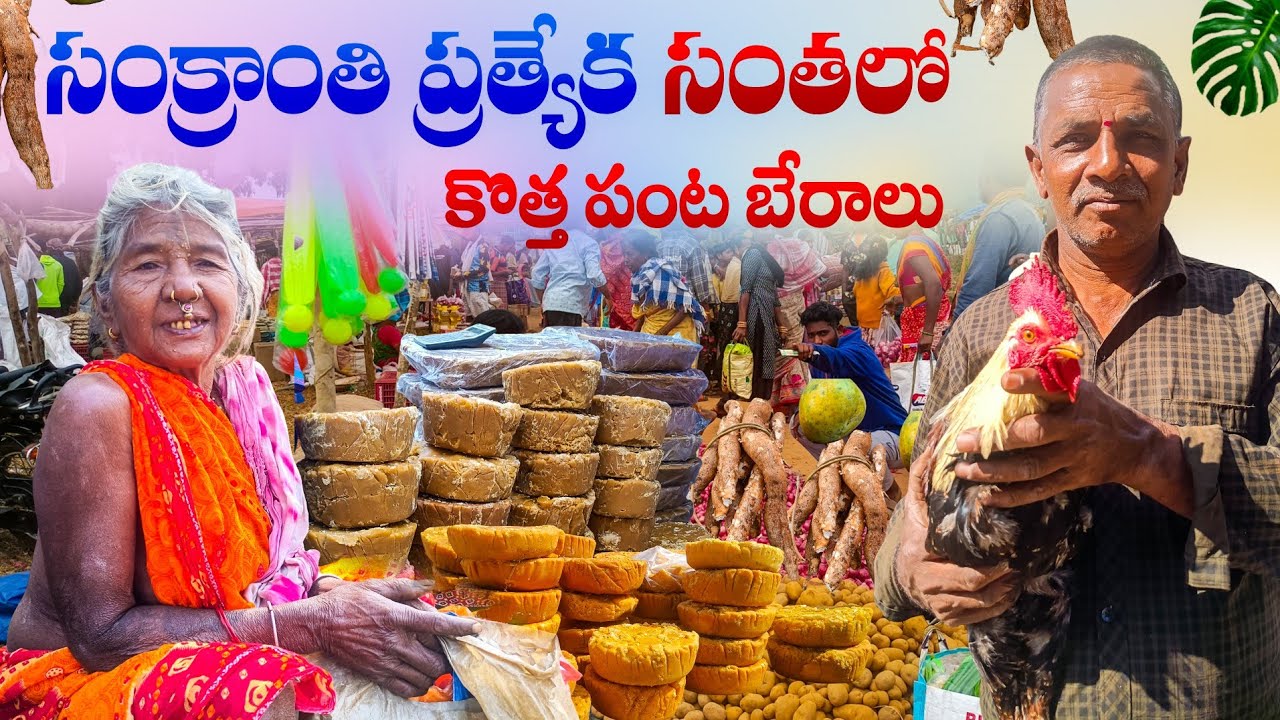 గిరిజనులు కొత్త పంటను అమ్మే సంత | Sankranti Special Tribal Market - Kurupam | #tribalmarket 